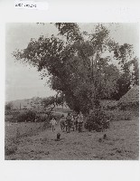 登錄號:KH2012.005.0183藏品圖，第1張