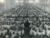 登錄號:KH2012.006.0097藏品圖，第1張