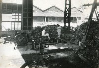 登錄號:KH2012.006.0118藏品圖，第1張