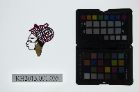 皮影戲偶頭-生藏品圖，第1張