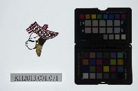 皮影戲偶頭-生藏品圖，第1張