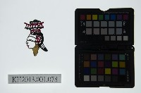 皮影戲偶頭-旦藏品圖，第1張