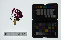 皮影戲偶頭-旦藏品圖，第1張