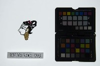 皮影戲偶頭-旦藏品圖，第1張