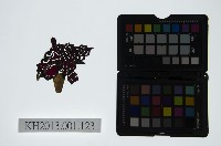 皮影戲偶頭-淨藏品圖，第1張