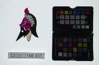 皮影戲偶頭-淨藏品圖，第1張