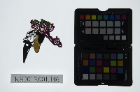 皮影戲偶頭-末藏品圖，第1張