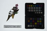 皮影戲偶頭-末藏品圖，第1張