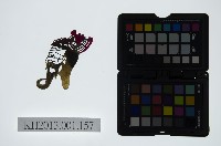 皮影戲偶頭-末藏品圖，第1張