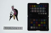 皮影戲偶頭-末藏品圖，第1張