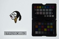 皮影戲偶頭-丑藏品圖，第1張