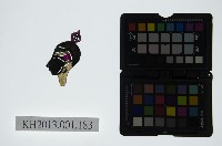 皮影戲偶頭-雜藏品圖，第1張