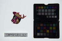 皮影戲偶頭-雜藏品圖，第1張