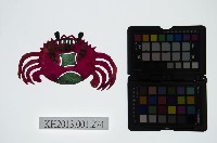 皮影戲動物偶-螃蟹藏品圖，第1張