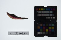 皮影戲道具-刀藏品圖，第1張