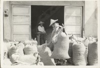 甲仙民生行藏品圖，第1張