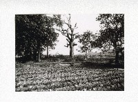 田厝農村一景藏品圖，第1張