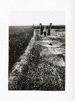 岡山嘉興老產業三角藺草田-1藏品圖，第1張