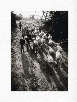 田寮月世界牧羊一景-1藏品圖，第1張