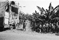 香蕉園的布袋戲藏品圖，第1張