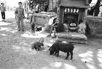 美濃伯公藏品圖，第1張