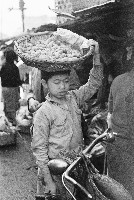 旗山賣肉捲的歲月藏品圖，第1張