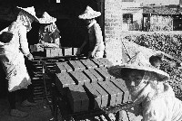 高雄三民區磚廠藏品圖，第1張