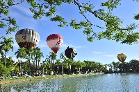 高雄熱氣球嘉年華的圖片