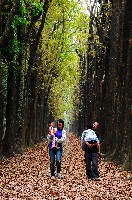 親子同遊的圖片