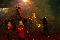 炸寒單的圖片