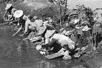 登錄號:KH2015.002.0012 之藏品的圖片