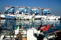 登錄號:KH2015.002.0080藏品圖，第1張