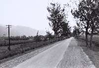 登錄號:KH2015.003.0008 之藏品的圖片