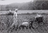 登錄號:KH2015.003.0031藏品圖，第1張