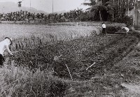 登錄號:KH2015.003.0037藏品圖，第1張