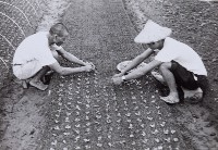 登錄號:KH2015.003.0038藏品圖，第1張