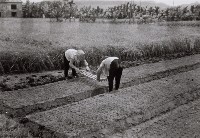 登錄號:KH2015.003.0039藏品圖，第1張