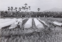 登錄號:KH2015.003.0040藏品圖，第1張