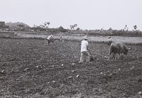 登錄號:KH2015.003.0042藏品圖，第1張