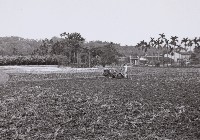 登錄號:KH2015.003.0043藏品圖，第1張