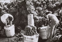 登錄號:KH2015.003.0118藏品圖，第1張