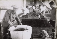 登錄號:KH2015.003.0121藏品圖，第1張