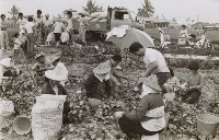 登錄號:KH2015.003.0132藏品圖，第1張