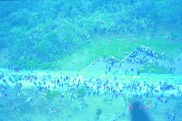 登錄號:KH2015.004.0071藏品圖，第1張