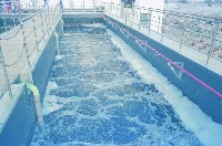 登錄號:KH2015.004.0093藏品圖，第1張