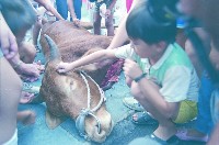 登錄號:KH2015.004.0127藏品圖，第1張