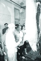 登錄號:KH2015.004.0164藏品圖，第1張