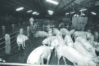 登錄號:KH2015.004.0166藏品圖，第1張