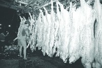 登錄號:KH2015.004.0168藏品圖，第1張