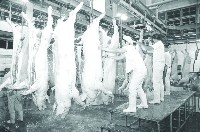 登錄號:KH2015.004.0169藏品圖，第1張